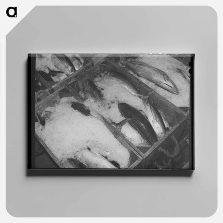 アートパネル-Sign, Crowley, Louisiana
 - ラッセル リー Canvas.
