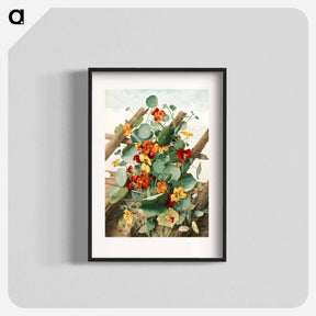 アートポスター-The nasturtiums, no 2
 - ボストン公共図書館 Poster.