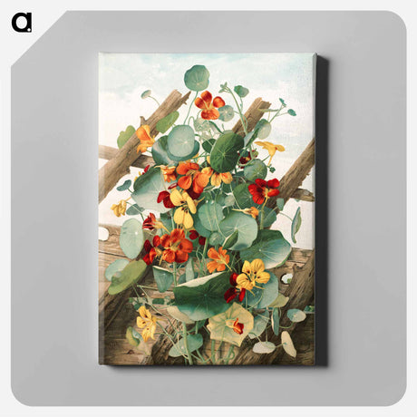アートパネル-The nasturtiums, no 2
 - ボストン公共図書館 Canvas.