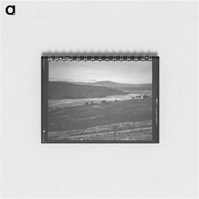 アートメモ帳-Untitled photo - ドロテア ラング Memo.