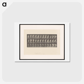 アートポストカード-Woman Dressing
 - エドワード マイブリッジ Postcard.