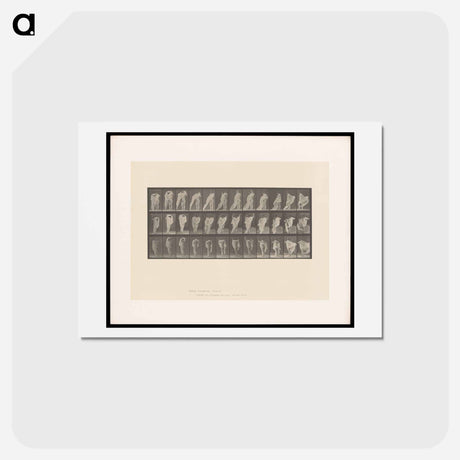 アートポストカード-Woman Dressing
 - エドワード マイブリッジ Postcard.
