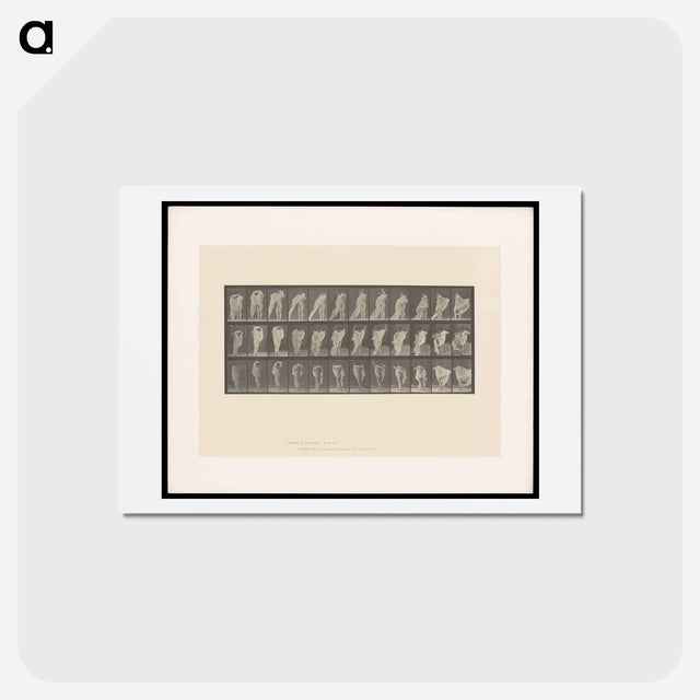 アートポストカード-Woman Dressing
 - エドワード マイブリッジ Postcard.