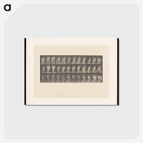アートポストカード-Woman Dressing
 - エドワード マイブリッジ Postcard.