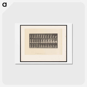 アートポストカード-Lowering the Vase
 - エドワード マイブリッジ Postcard.
