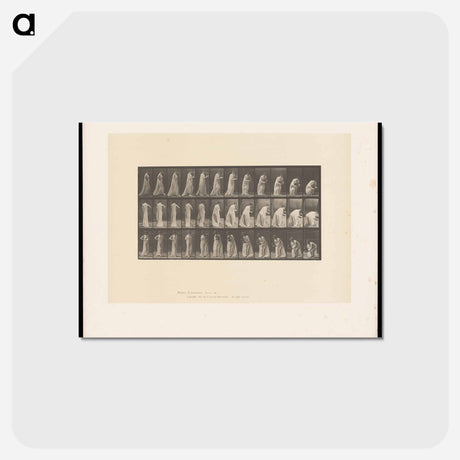 アートポストカード-Lowering the Vase
 - エドワード マイブリッジ Postcard.