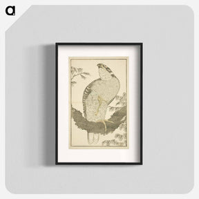 アートポスター-Hokusai's Hawk - 葛飾 北斎 Poster.