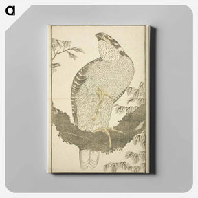 アートパネル-Hokusai's Hawk - 葛飾 北斎 Canvas.