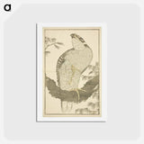 アートポストカード-Hokusai's Hawk - 葛飾 北斎 Postcard.