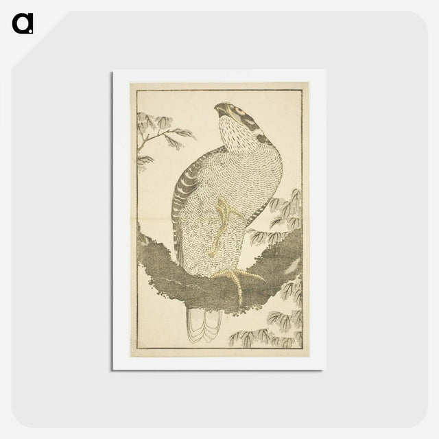 アートポストカード-Hokusai's Hawk - 葛飾 北斎 Postcard.