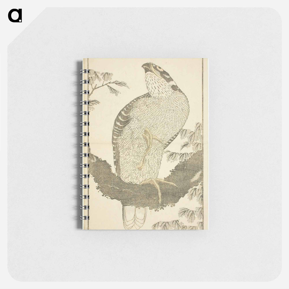 Hokusai's Hawk - 葛飾 北斎 Memo.
