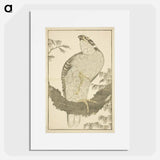 Hokusai's Hawk - 葛飾 北斎 Poster.