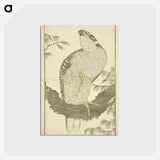 アートポストカード-Hokusai's Hawk - 葛飾 北斎 Postcard.