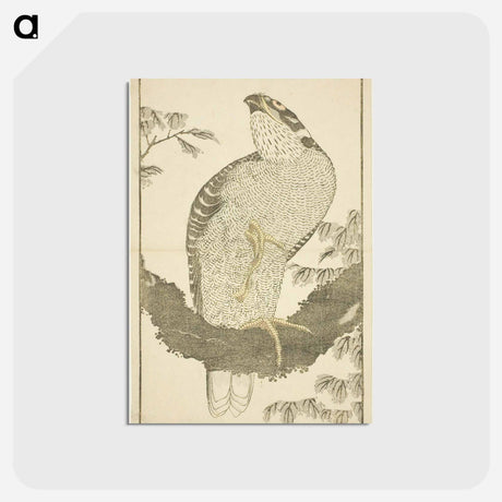 アートポストカード-Hokusai's Hawk - 葛飾 北斎 Postcard.