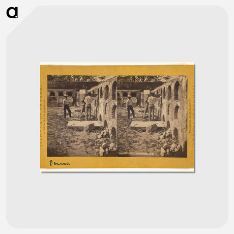 アートポストカード-Burial of a Citizen
 - エドワード マイブリッジ Postcard.