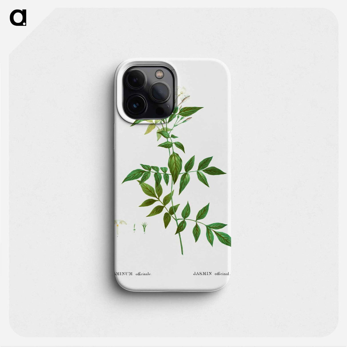 Jasmine - ピエール ジョゼフ ルドゥーテ Phone Case.