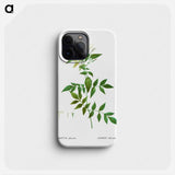 Jasmine - ピエール ジョゼフ ルドゥーテ Phone Case.