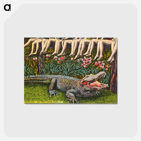 アートポストカード-Young Ideas
 - ボストン公共図書館 Postcard.