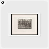 アートポストカード-Prancing Horse and Ponies
 - エドワード マイブリッジ Postcard.