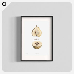 アートポスター-Pear fruit - ピエール ジョゼフ ルドゥーテ Poster.
