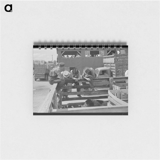 アートメモ帳-Old Root Cellar
 - ラッセル リー Memo.