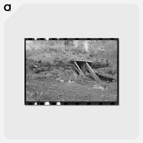 アートポストカード-Old Root Cellar
 - ラッセル リー Postcard.