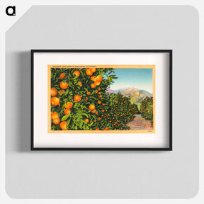 アートポスター-Oranges and Snow in Southern California
 - ボストン公共図書館 Poster.