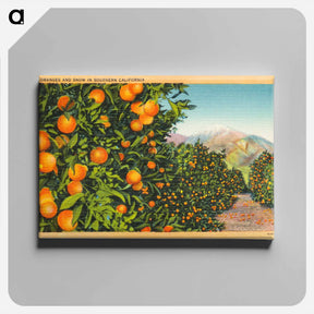 アートパネル-Oranges and Snow in Southern California
 - ボストン公共図書館 Canvas.