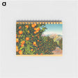 アートメモ帳-Oranges and Snow in Southern California
 - ボストン公共図書館 Memo.