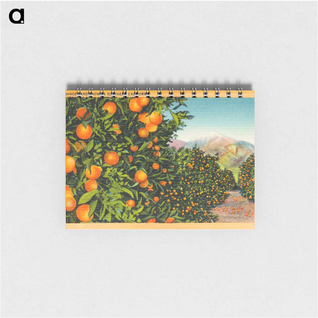 アートメモ帳-Oranges and Snow in Southern California
 - ボストン公共図書館 Memo.