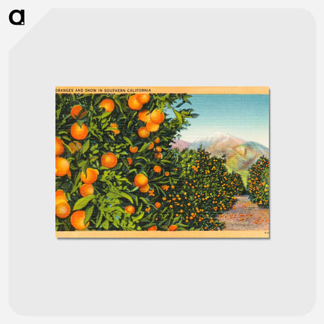 アートポストカード-Oranges and Snow in Southern California
 - ボストン公共図書館 Postcard.