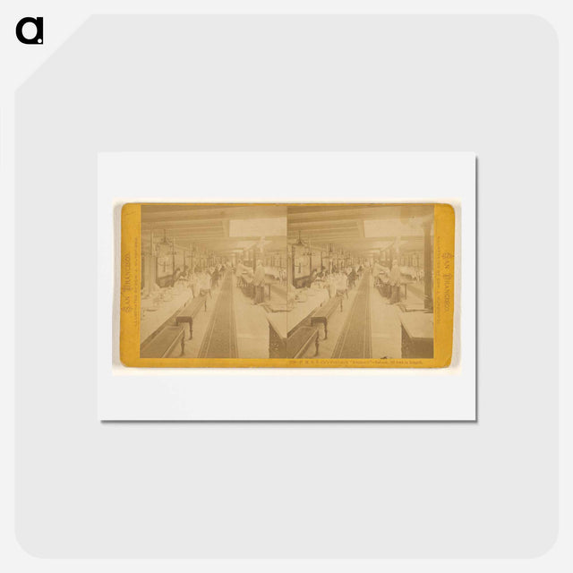 アートポストカード-Steamer "America" Saloon
 - エドワード マイブリッジ Postcard.
