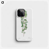 Cuspidate Rose - ピエール ジョゼフ ルドゥーテ Phone Case.