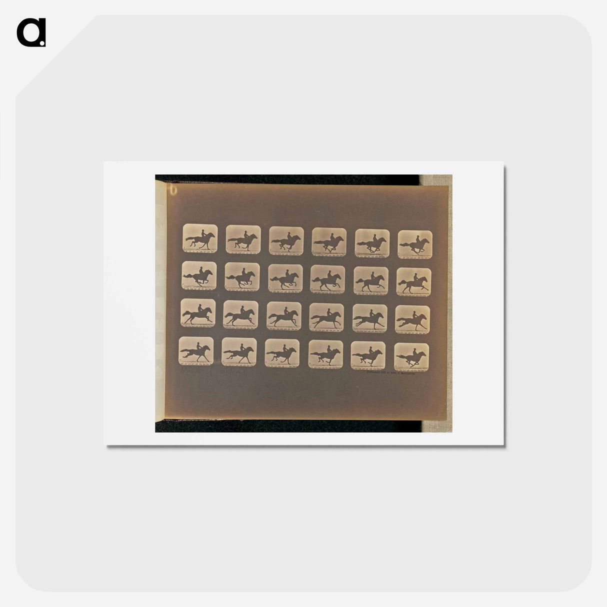アートポストカード-Running (Galloping)
 - エドワード マイブリッジ Postcard.
