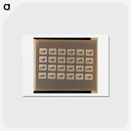 アートポストカード-Running (Galloping)
 - エドワード マイブリッジ Postcard.