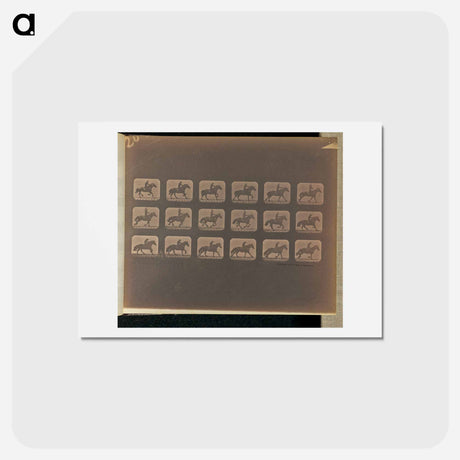 アートポストカード-Running (Galloping)
 - エドワード マイブリッジ Postcard.