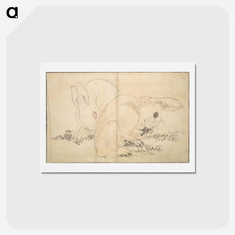 アートポストカード-A Realistic Sketchbook by Hokusai - 葛飾 北斎 Postcard.