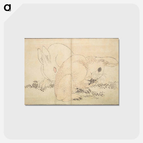 アートポストカード-A Realistic Sketchbook by Hokusai - 葛飾 北斎 Postcard.