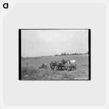 アートポストカード-Mules' Lunch Break
 - ラッセル リー Postcard.