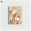 アートメモ帳-Magnolia
 - ボストン公共図書館 Memo.