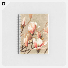 アートメモ帳-Magnolia
 - ボストン公共図書館 Memo.