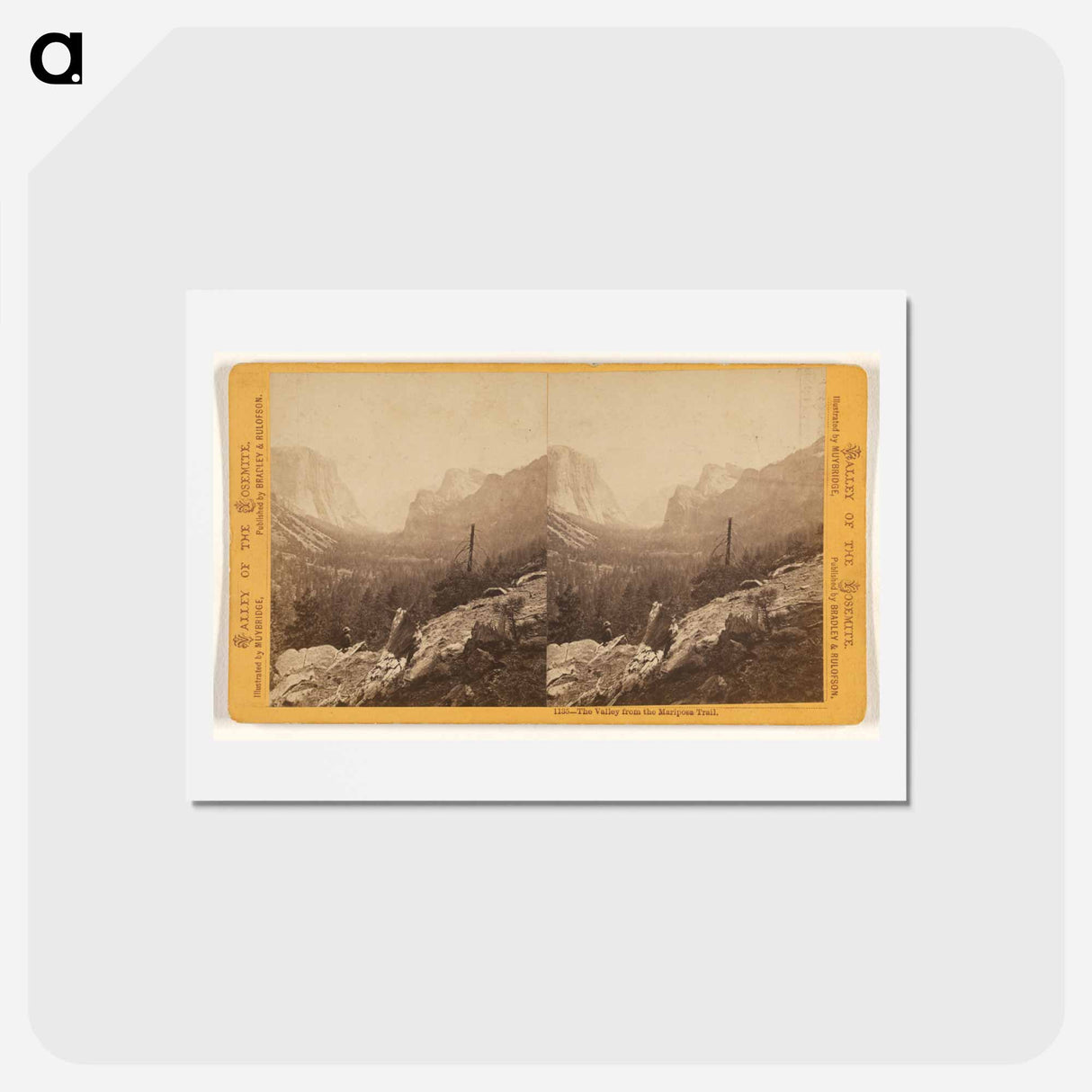 アートポストカード-The Valley from the Mariposa Trail
 - エドワード マイブリッジ Postcard.
