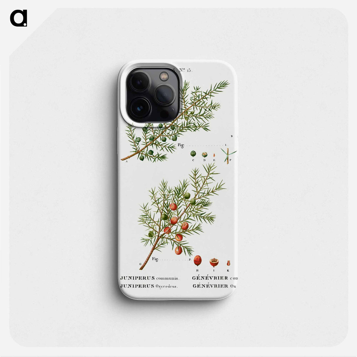 Common juniper, Juniperus communis and Prickly juniper, Juniperus oxycedrus - Pierre Joseph Redouté Phone Case.