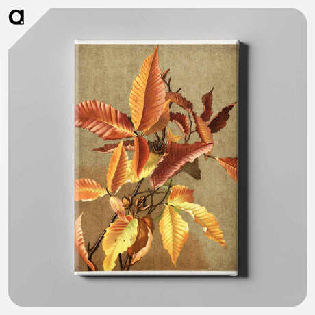 アートパネル-Autumn Leaves no 3 Beech
 - ボストン公共図書館 Canvas.