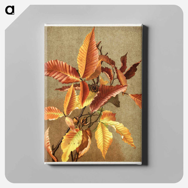 アートパネル-Autumn Leaves no 3 Beech
 - ボストン公共図書館 Canvas.