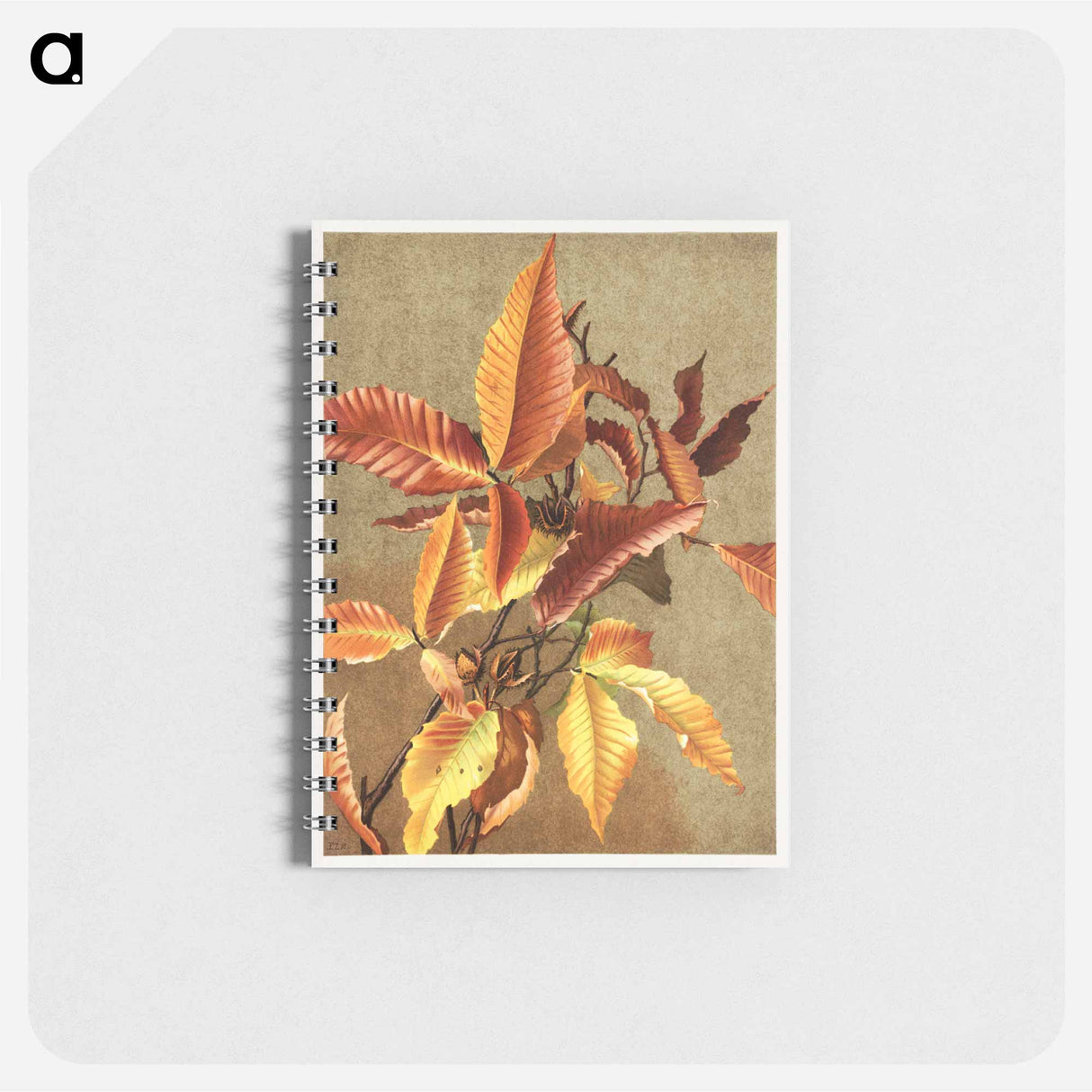 アートメモ帳-Autumn Leaves no 3 Beech
 - ボストン公共図書館 Memo.