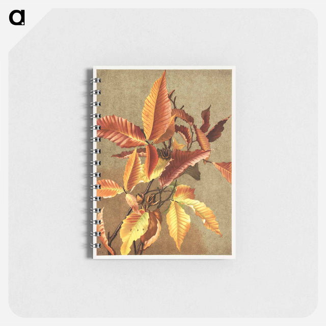 アートメモ帳-Autumn Leaves no 3 Beech
 - ボストン公共図書館 Memo.