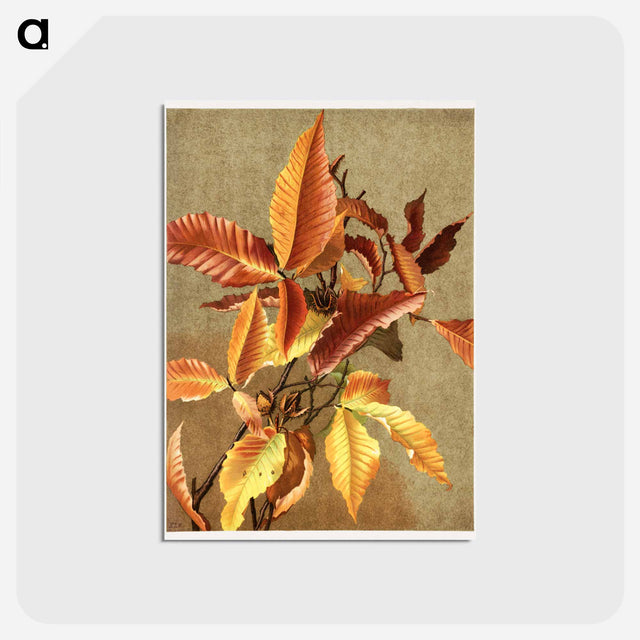 アートポストカード-Autumn Leaves no 3 Beech
 - ボストン公共図書館 Postcard.
