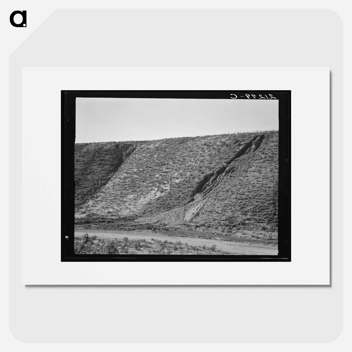 Water seepage from newly irrigated land on top of bench, eroding the sides. - Dorothea Lange Poster.