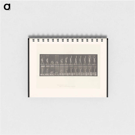 アートメモ帳-Woman with Pitcher
 - エドワード マイブリッジ Memo.